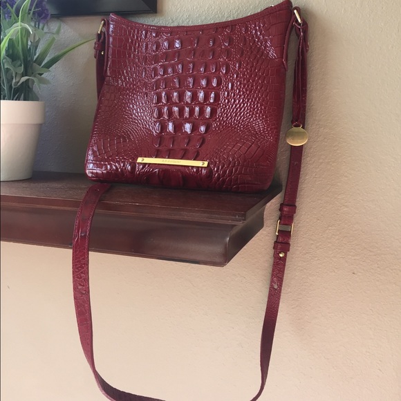 SOLD SOLD. Gorgeous Red Brahmin - Picture 2 of 4